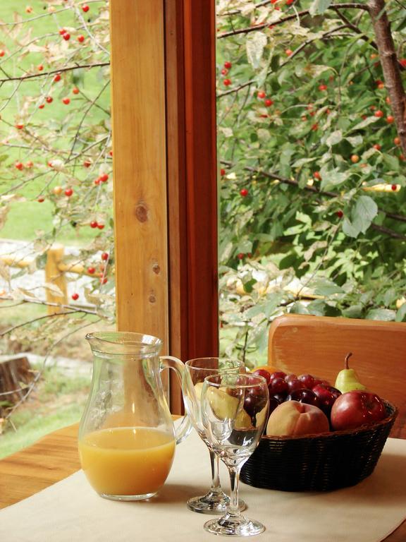 Villa Sofia Resort & Spa San Carlos de Bariloche Dış mekan fotoğraf